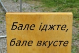 Fot. Janusz Wojtarowicz