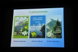 Fot. Pieninyinfo.pl