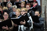 Fot. Magdalena Wojtarowicz